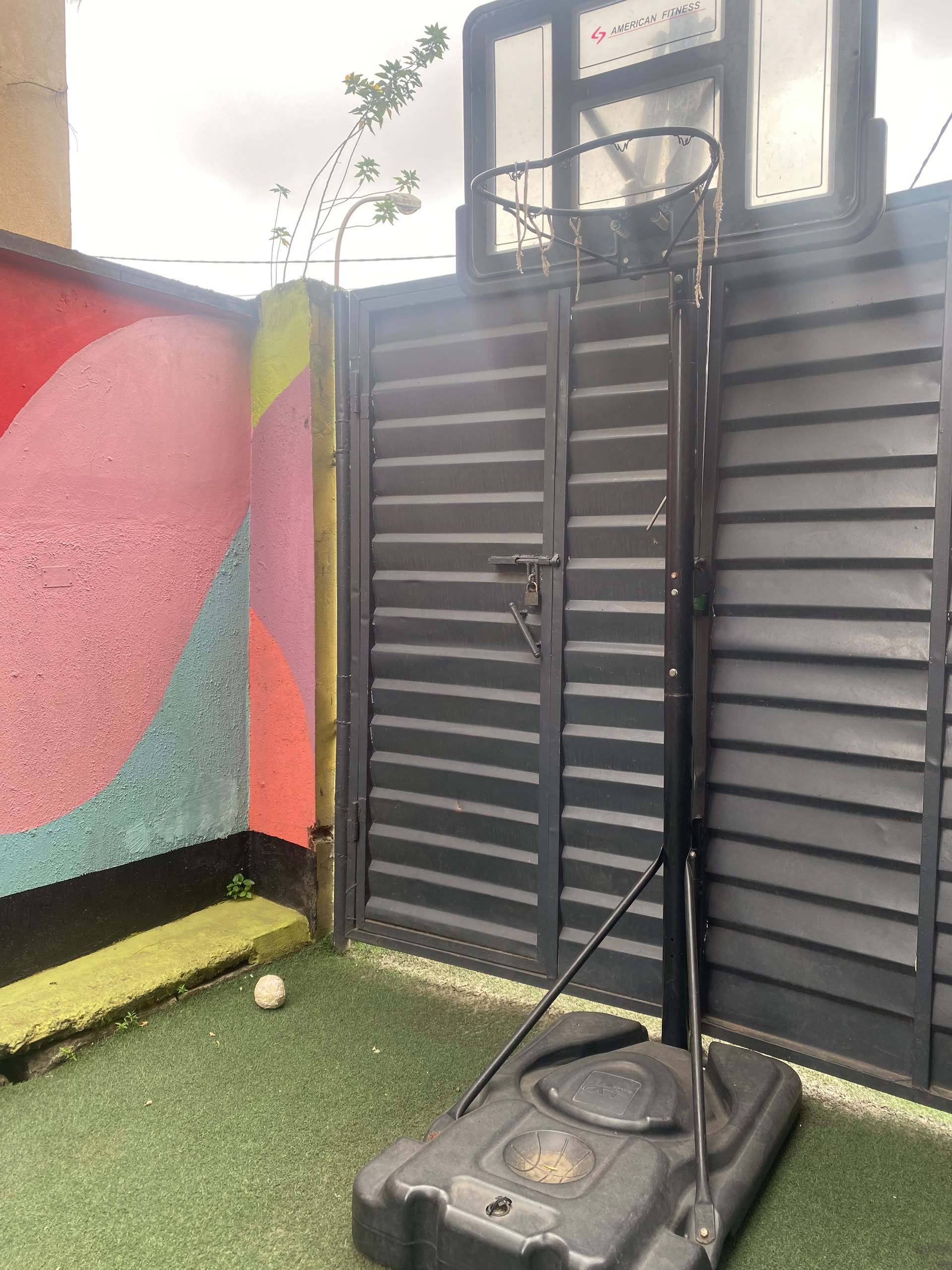 Mini Basketball & Sports Court on Astroturf